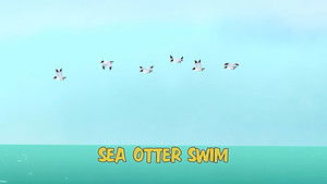 Sea Otter Swim