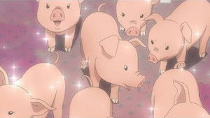 Hachiken Meets Pork-Bowl