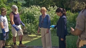 Peaceful Evening in Marlow (1)