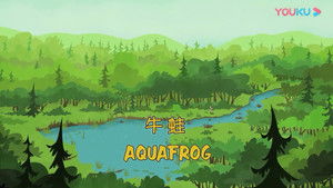 Aquafrog