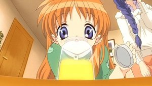 Fugue of a Runaway Kitten