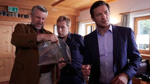 Boards that Mean the World