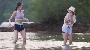 Wish Upon a Shooting Star