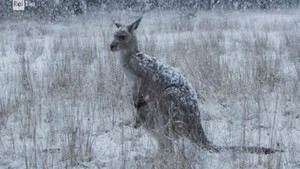 The ancient palaces of Rome and the lost glaciers of the Karakoram