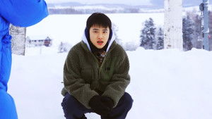 The Biei Tree Tour and Becoming Hooked on Games