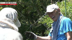 A Place to Prepare for Dementia