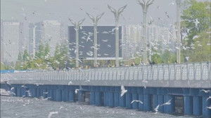 China, Yunnan Province: A City Park Where You Can See Seagulls