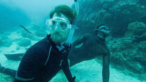 Shark Swarm Freedive