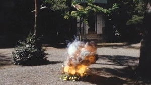 6 Targets!! The Flower Which Explodes