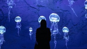 Messengers of darkness