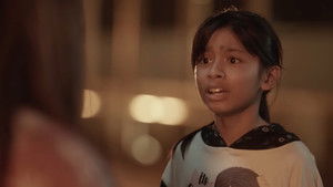 Terra and the Pashneas