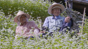 Life on a Sloping Farm