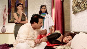 The Dog Bites Surili