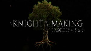 Episodes 4, 5, and 6