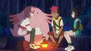 The Pokémon Center Lady