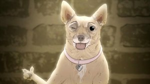 Episode Twenty: Dog.