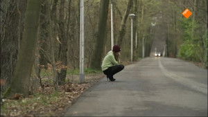 Verliefd, verkracht en vermist