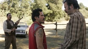 South of the Border (2)