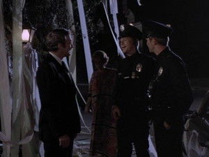 Log 066: The Vandals