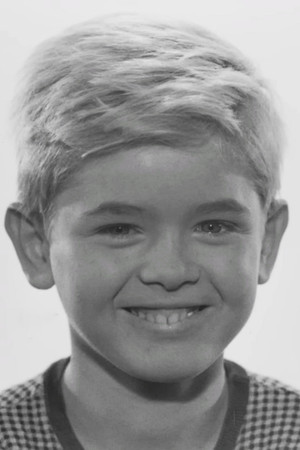 Hartmut Schwerdtfeger