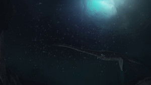 Hunting the Loch Ness Monster