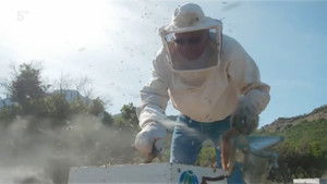 Birthplace of the Gods