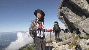 Rock Ptarmigans: Reviving the Divine Birds