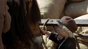 När Emil for till marknaden