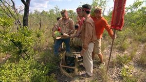 The First Fifteen Days