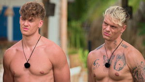 From Kittens to Lions