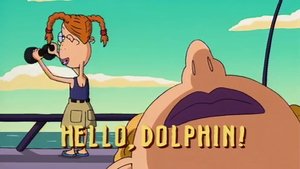 Hello, Dolphin!