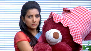 Vasant The Teddy Bear