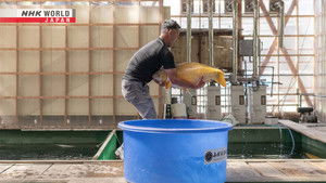 Nagaoka: Water, the Wellspring of Abundance