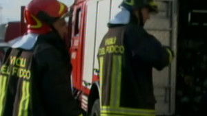 The head of the snake