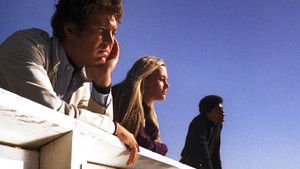 The Teeth of the Barracuda