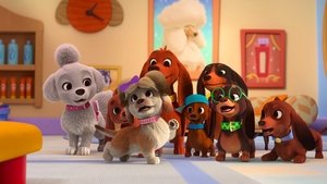 Bow Wow Bows / Snuggle Trouble