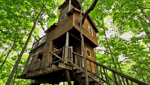 Ultimate Treehouses V