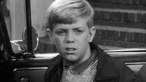 The Case of the Wandering Widow