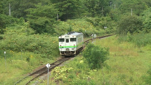 Regional Transport Crisis