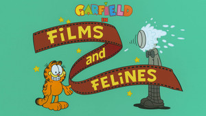 Films and Felines