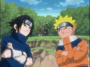 Bitter Rivals and Broken Bonds