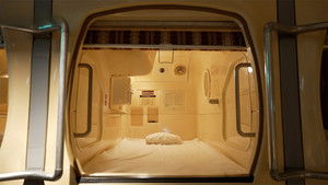 Capsule Beds