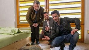 Everything is new in May