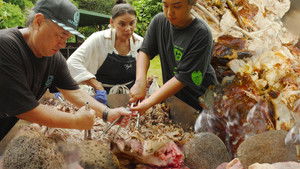 Cooking a 400-Pound Pig in an Underground Oven