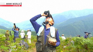 Nagano: Watching for Hawks