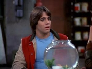 Elaine and the Lame Duck