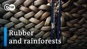 How car tires drive deforestation
