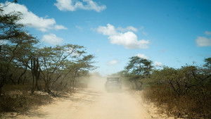 From Colombia's Caribbean Coast to the Desert