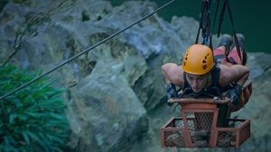 United, But Divided?