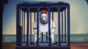 The Case of the Blitz Attack